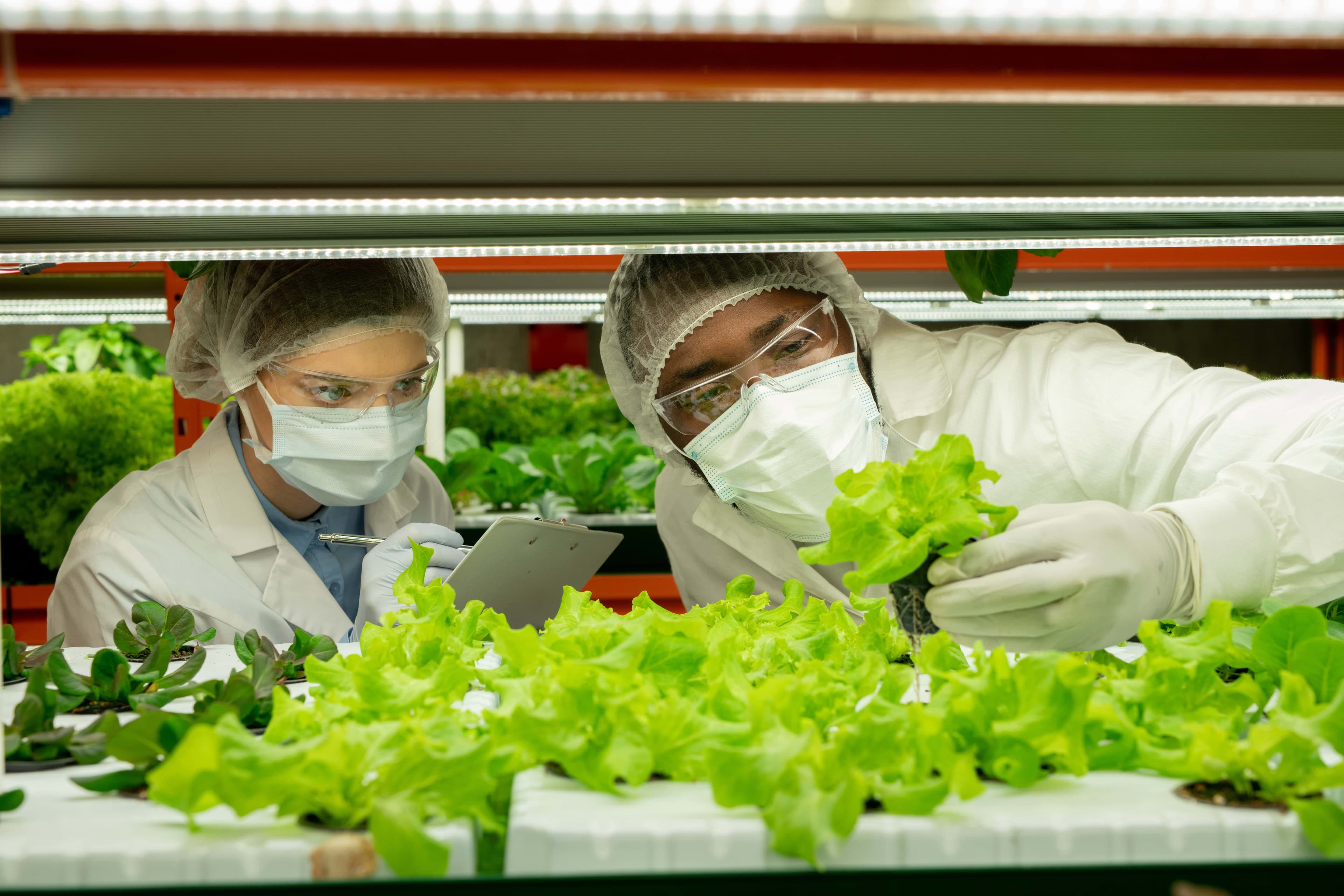 Food safety production facility