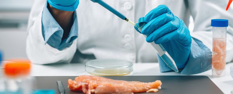 Enhancing Salmonella Control in Poultry Processing